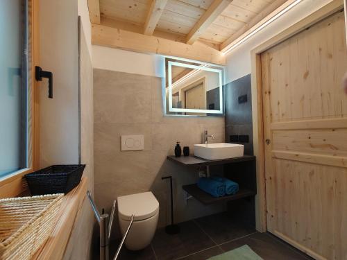 a bathroom with a sink and a toilet and a mirror at Casetta Vanda in Santo Stefano di Cadore