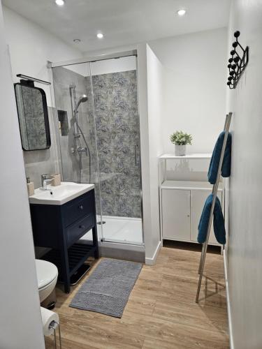 une salle de bain avec une douche, des toilettes et un lavabo dans l'établissement Bleu Ciel au Panier, à Marseille