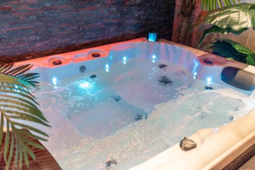 L’Insolite, Spa Privatif (Appartement Jacuzzi) photo 19