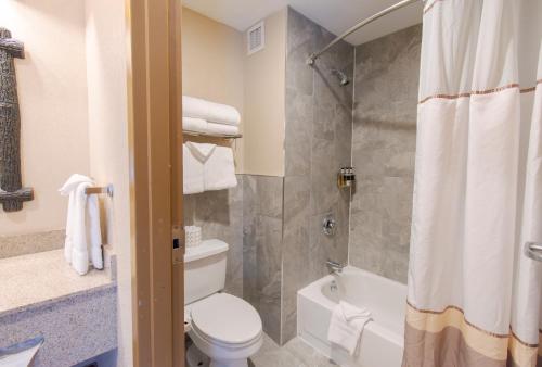 a bathroom with a shower and a toilet and a tub at Six Flags Great Escape Lodge & Indoor Waterpark in Queensbury