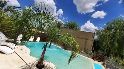 a palm tree in a swimming pool with a person in it at Brisas de Killa in General Rodríguez