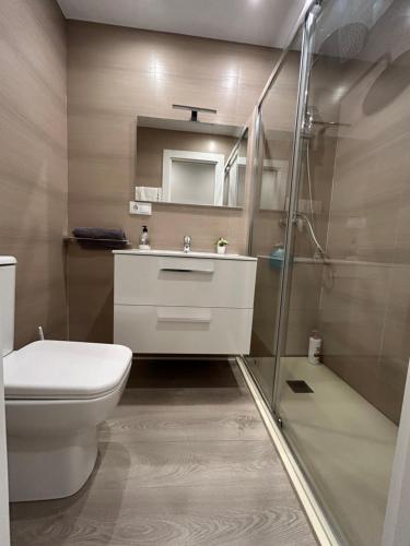 La salle de bains est pourvue de toilettes, d'un lavabo et d'une douche. dans l'établissement Alojamientos Castellana Jardín 1 y 2 PARKING Y PISCINA GRATIS!!, à Burgos