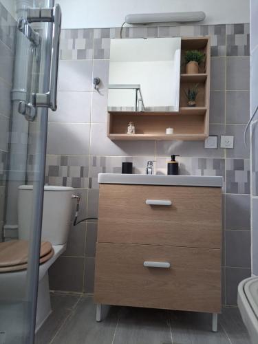 une salle de bain avec un lavabo et des toilettes dans l'établissement Confortable Apart de 3 pièces, à Poitiers