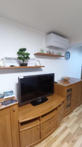 Η κουζίνα ή μικρή κουζίνα στο Apartma Ferida