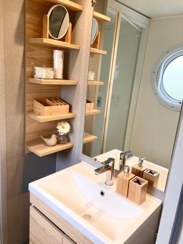 a bathroom with a sink and a mirror at Camping de Pallegarste Eco Villa 141 in Mariënberg