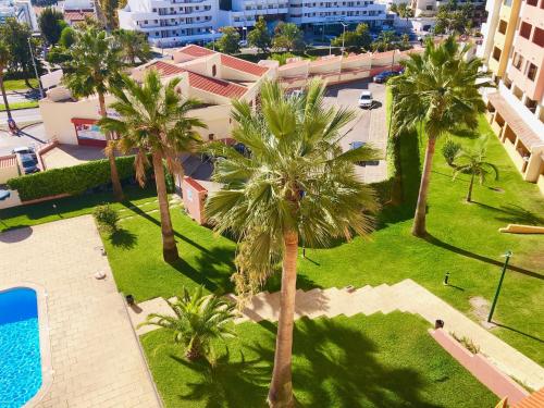 - une vue aérienne sur les palmiers et la piscine dans l'établissement Caporizon-Piscine-Hyper Centre-Albufeira-Vue Panoramique Mer-4 personnes, à Albufeira