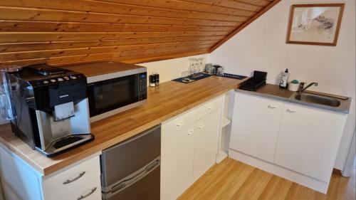 uma cozinha com um balcão e um micro-ondas em Vindsvåning i Simrishamn em Simrishamn