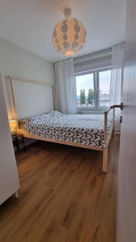Cozy Pet Friendly Apartment
