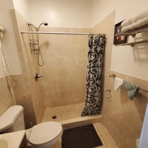 a bathroom with a shower and a toilet at Timpson pl studio apartments in Port Morris