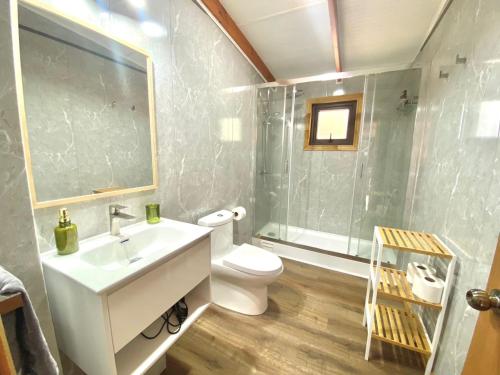 ein Badezimmer mit Waschbecken, Toilette und Dusche in der Unterkunft Cabañas Los Abetos in Puerto Varas