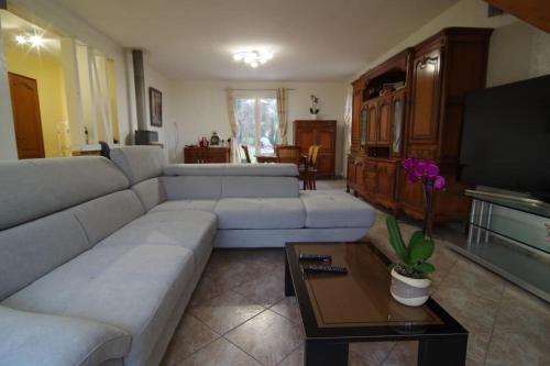La Milesse的住宿－Maison des bois - La pause des 24 heures du Mans，客厅配有白色沙发和电视