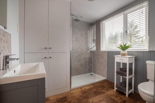 een badkamer met een wastafel, een toilet en een douche bij Wansfell Heights in Ambleside