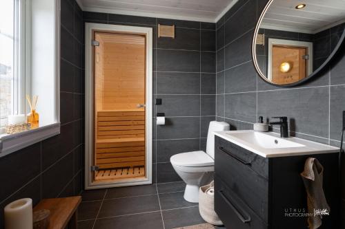 a bathroom with a toilet and a sink and a mirror at Nesfjellet in Nes i Ådal
