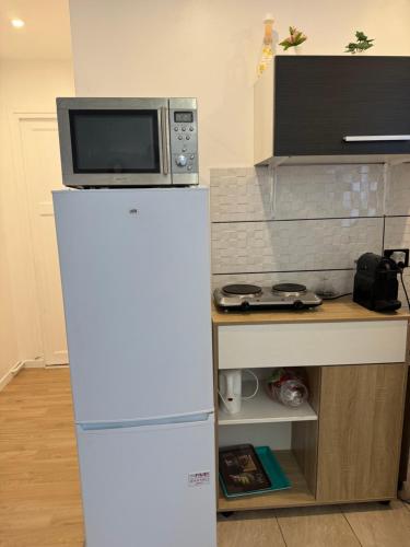 un forno a microonde in cima a un frigorifero in una cucina di Appartement Ris orangis a Ris-Orangis
