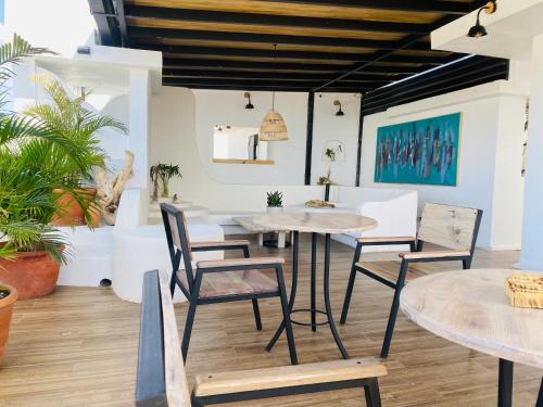 una sala da pranzo con tavoli, sedie e piante di OB Studios a Santo Domingo