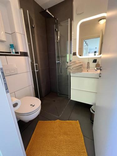 a bathroom with a toilet and a sink and a shower at Hausboot Stöckte in Winsen
