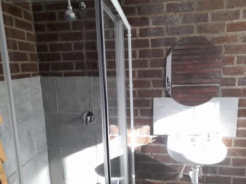 y baño con ducha, lavabo y espejo. en Megs Accommodation, en Kamieskroon