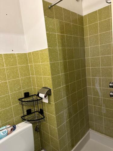 a bathroom with a toilet and a green tiled wall at Magnifique studio avec Netflix in Saint-Louis