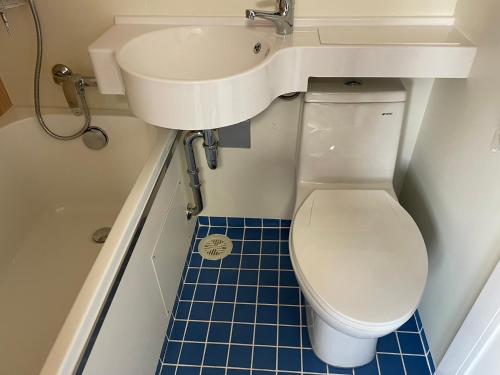 a bathroom with a toilet and a sink and blue tiles at ５８ビレッジ種子島 in Ishidera