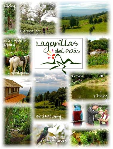 a collage of pictures of people and animals at Lagunillas Del Poas in Poasito