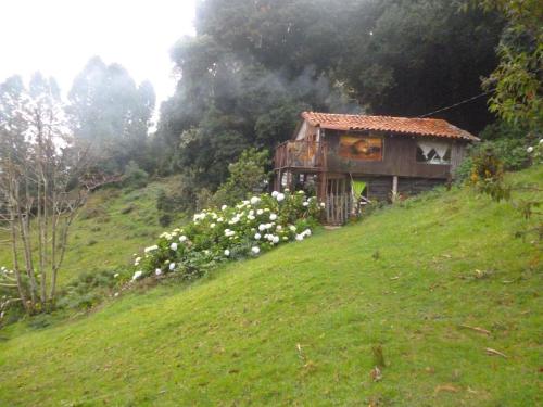 a small house on a hill with white flowers at Lagunillas Del Poas in Poasito