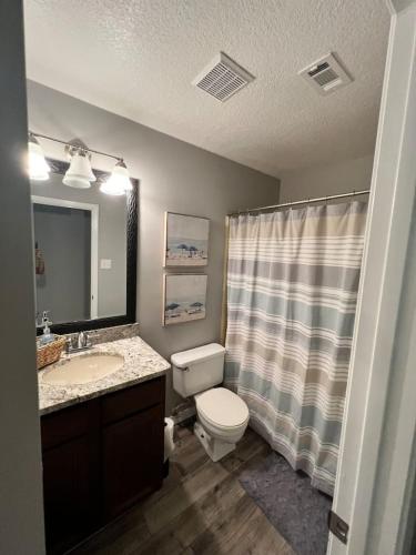 a bathroom with a toilet and a sink and a mirror at Cozy Ocean Springs Get-away in Ocean Springs