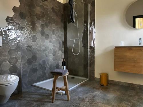 e bagno con doccia, servizi igienici e sgabello. di B&B de Blauwververij a Blitterswijck