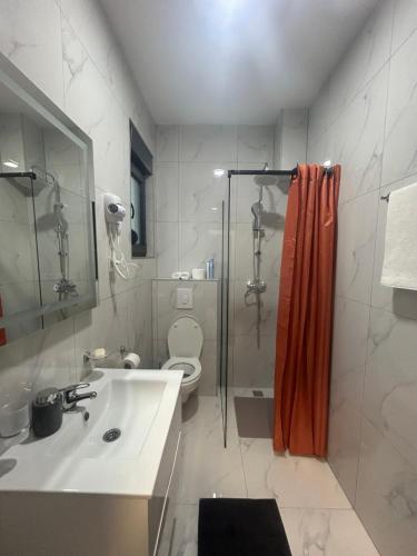 uma casa de banho com um WC, um lavatório e um chuveiro em WolfMoon em Herceg Novi