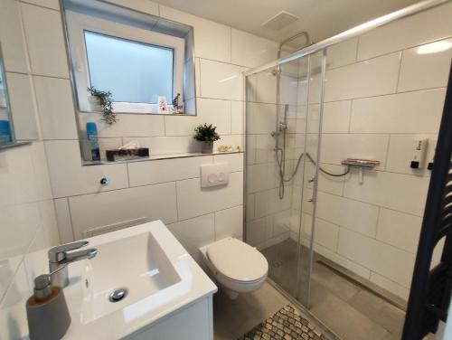 een badkamer met een toilet, een wastafel en een douche bij Ferienwohnung-Heide-1 in Walsrode