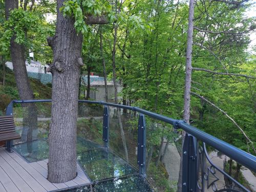 a balcony with a tree and a glass railing at PREMIUM APARTMAN ELENI ROOMS,oaza mira i tisine u centru Vrnjacke banje in Vrnjačka Banja