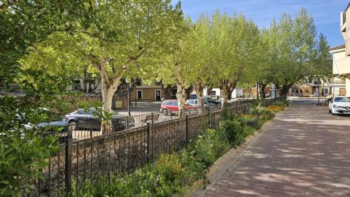 a fence with trees and cars parked on a street at Apartamento Cobre in Riópar
