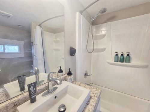 un bagno bianco con lavandino e doccia di Sweet Cottage near Downtown DSM a Des Moines