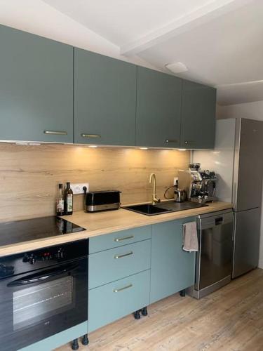 une cuisine avec des armoires bleues et des appareils en acier inoxydable dans l'établissement Cabane au fond du jardin, à Bordeaux