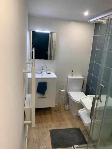 une salle de bain avec un lavabo, des toilettes et un miroir dans l'établissement Cabane au fond du jardin, à Bordeaux