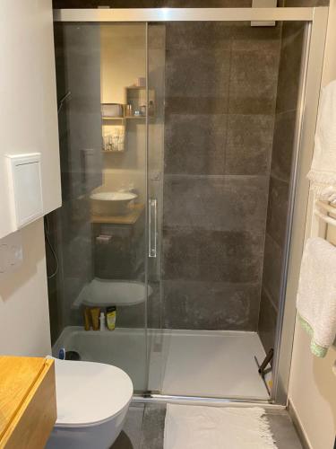 une salle de bain avec une douche avec des toilettes et un lavabo dans l'établissement Villa à 2 min à pied de la plage, à Arcachon