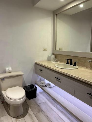 a bathroom with a toilet and a sink with a mirror at Hacienda Los Molinos Boutique Hotel & Villas in Boquete