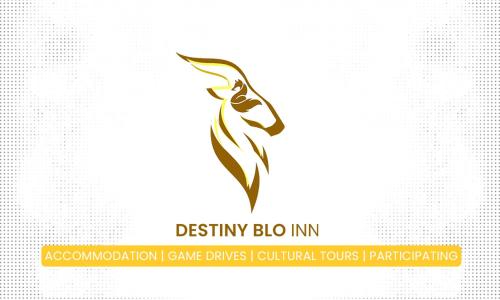 a vector illustration of a bird logo on a white background at Destiny Blo Inn in Kachikau