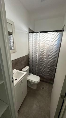 a bathroom with a toilet and a sink and a shower at DOCTA RESIDENCIA in Cordoba