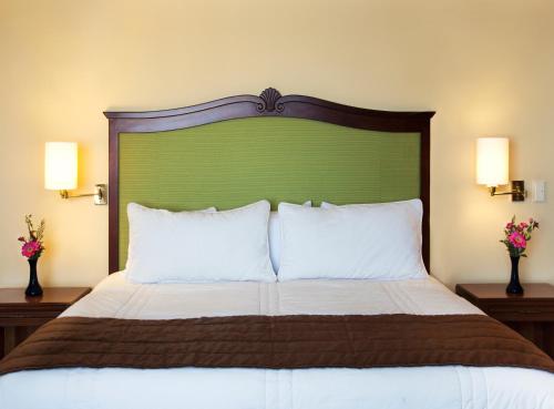 a bed with a green headboard and white pillows at Hotel Francia Aguascalientes in Aguascalientes