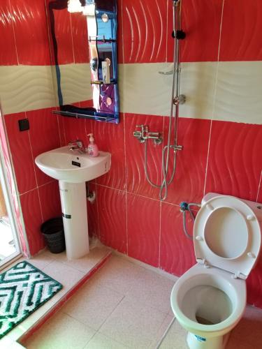 a bathroom with a toilet and a sink at Auberge Cascade Imilchil in Imilchil