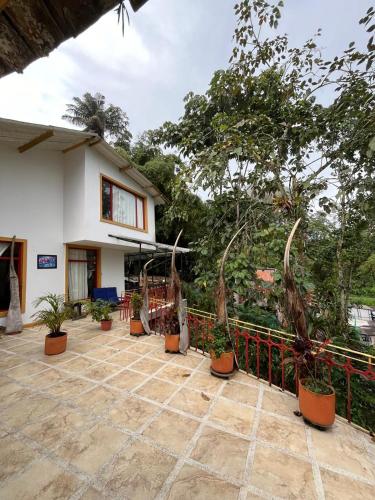 a house with potted plants in front of a fence at Villa Ocampo in Salento