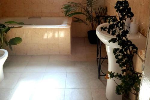 Modern Bungalow with private pool and patio في Old Yundum: حمام مع مرحاض وحوض استحمام مع نباتات