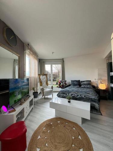 una camera con letto e TV di Tranquillité à 30 min de Paris a Poissy
