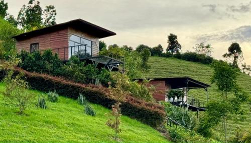 une maison sur le côté d'une colline herbeuse dans l'établissement Ecovillage glamping Idilio, à Llanitos