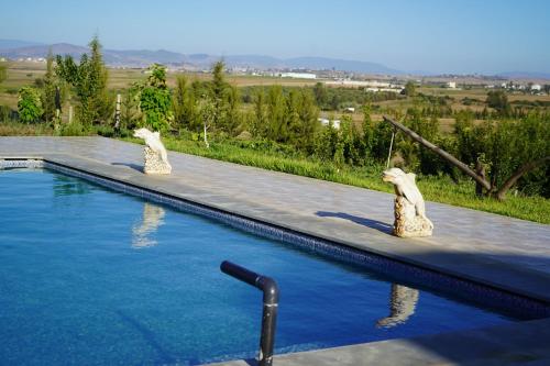 due statue di animali sedute sul bordo della piscina di jnan Lemonie a Asilah