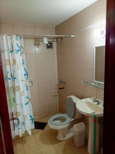 La salle de bains est pourvue de toilettes et d'un lavabo. dans l'établissement EDIFICIO PROGRESO, à Ciudad del Este