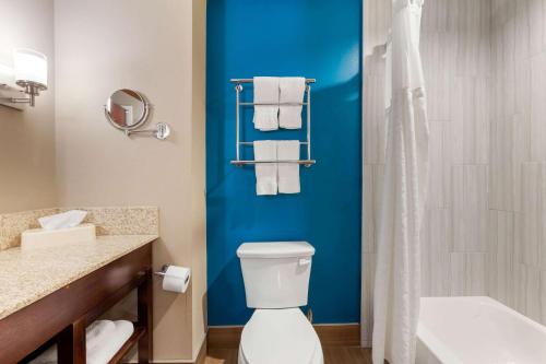 a bathroom with a toilet and a shower with towels at Comfort Suites of Las Cruces I-25 North in Las Cruces