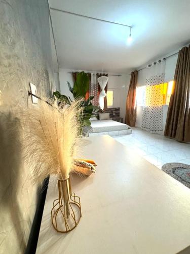 a vase with feathers on a table in a room at keur manga in Somone