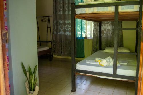 Carate的住宿－Ventanas Rio，一间卧室配有双层床