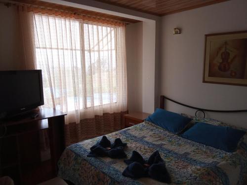 ein Schlafzimmer mit einem Bett mit blauen Kissen und einem TV in der Unterkunft Casa Bercel in Choachí